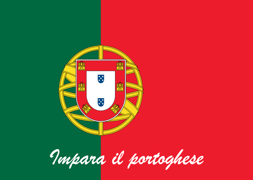 Formation Portugais (Tous niveaux)