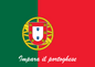 Formation Portugais (Tous niveaux)